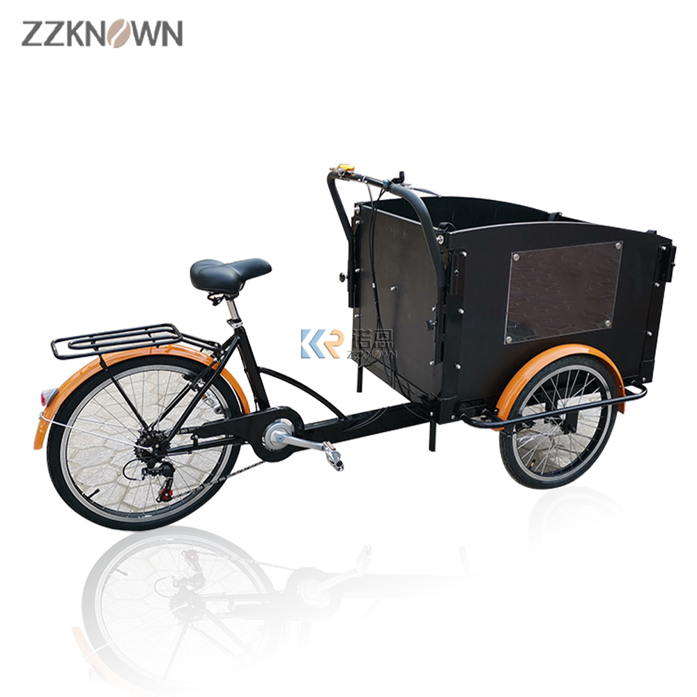 OEM Parent-Child Tricycle Small Durable Electric 3 Wheel Cargo Bike for Sale 