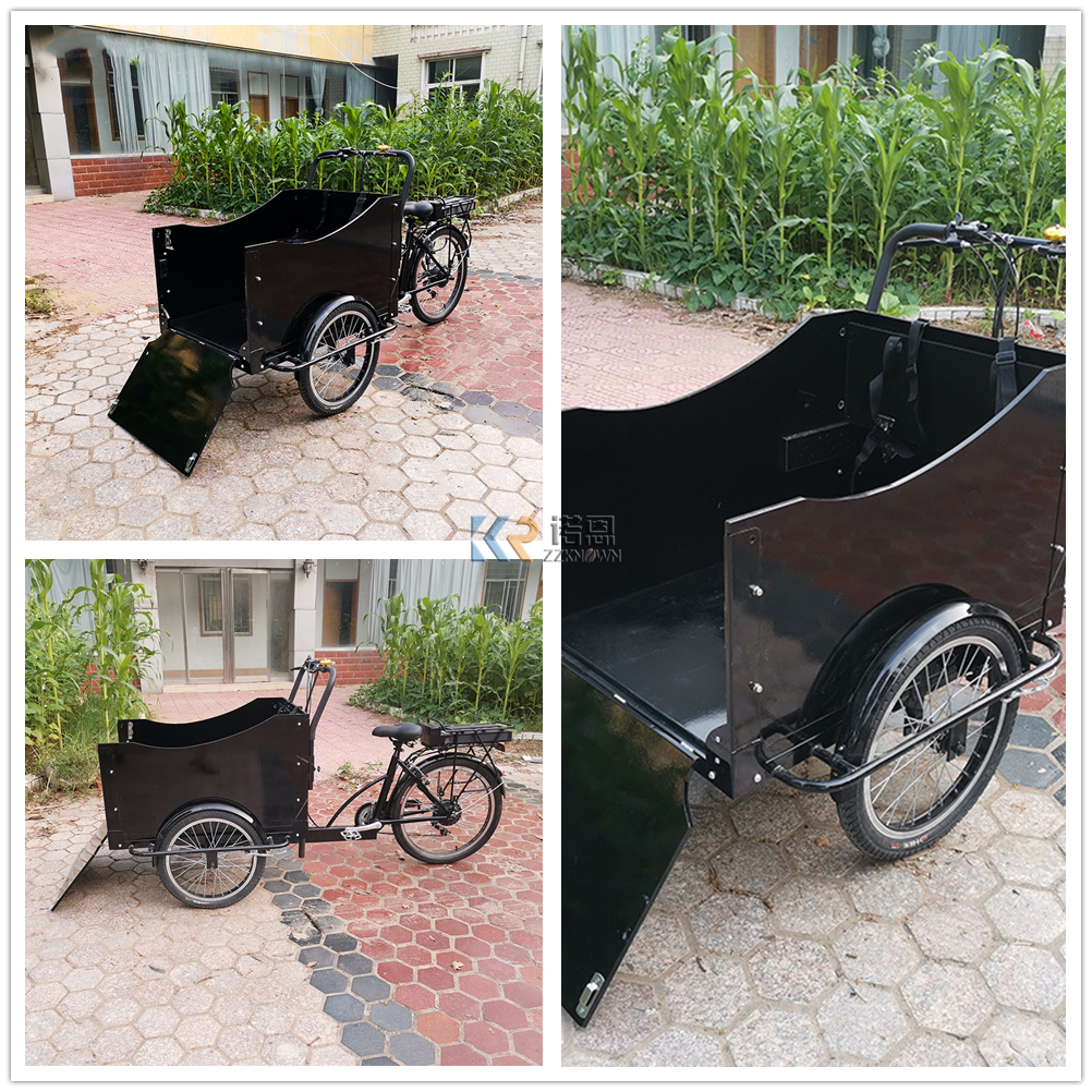 Front Load 6 Speed Electric Cargo Bike for Family Use