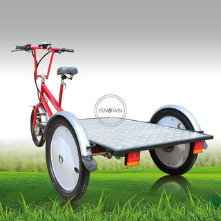 OEM Outdoor Electric Cargo Bike Baggage Transport Bike Flatbed Tricycle for Sale