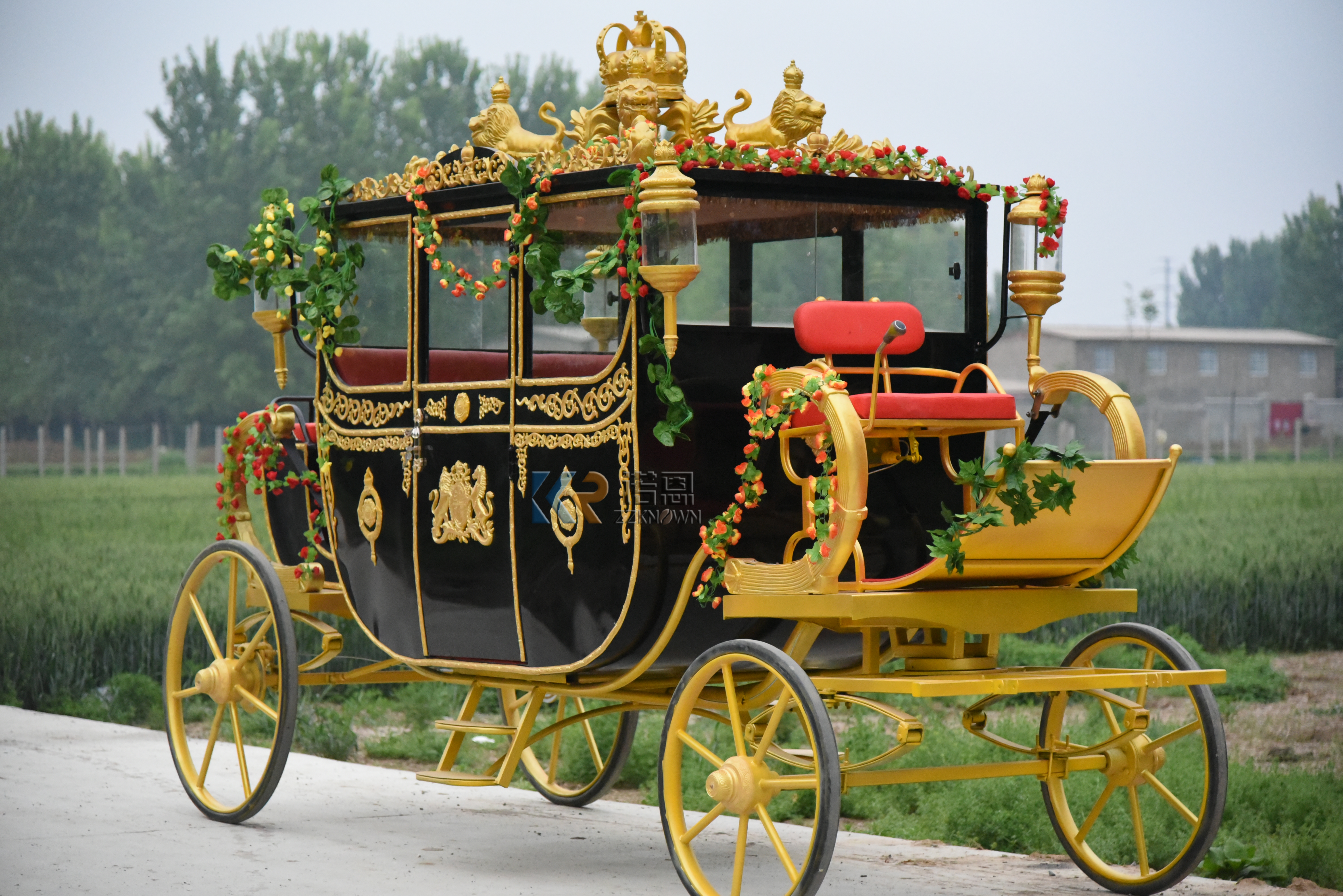 Royal carriage (12)