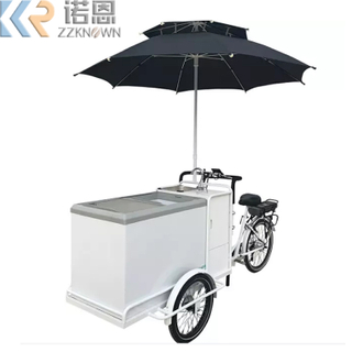 Electric Ice Cream Tricycle Cart Bike for Sale Cabin Cargo Tricycle with Freezer for Food Delivery 