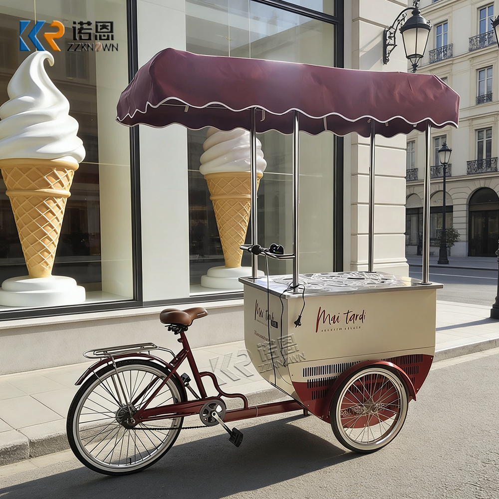 Mini Food Cart with Freezer | Mobile Ice Cream Bicycle Cart for Sale