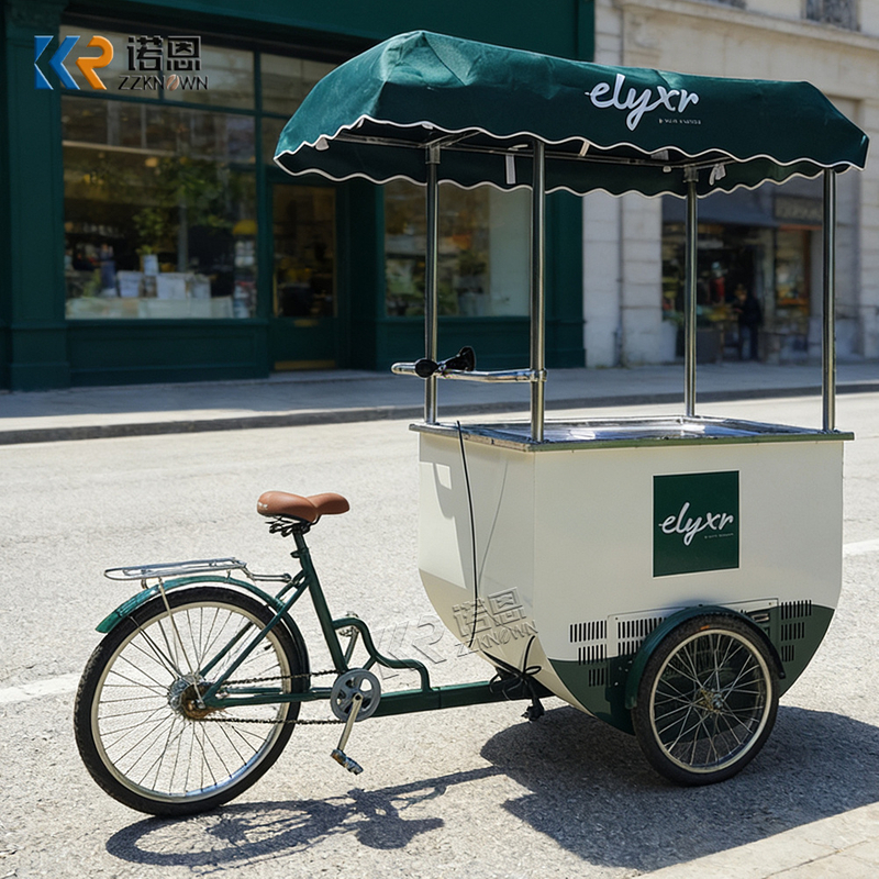 Mini Food Cart with Freezer | Mobile Ice Cream Bicycle Cart for Sale