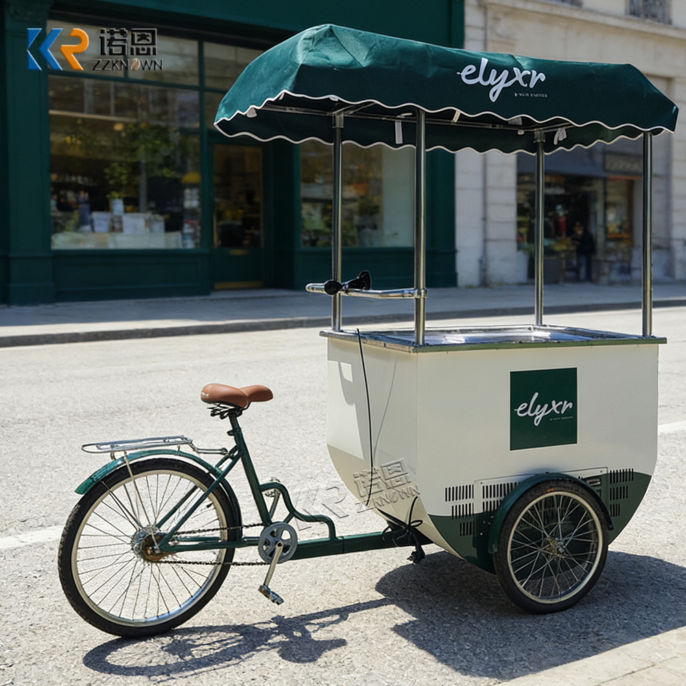 Mini Food Cart with Freezer | Mobile Ice Cream Bicycle Cart for Sale