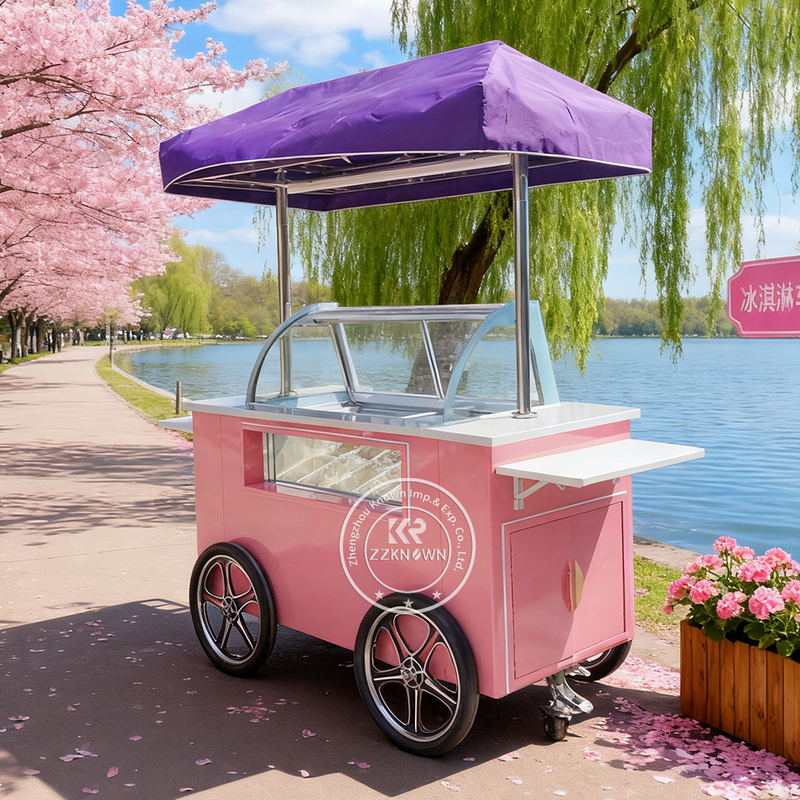 Wholesale Ice Cream Beach Cart Manufacturer | Custom OEM Ice Cream Carts for Distributors – ZZKNOWN