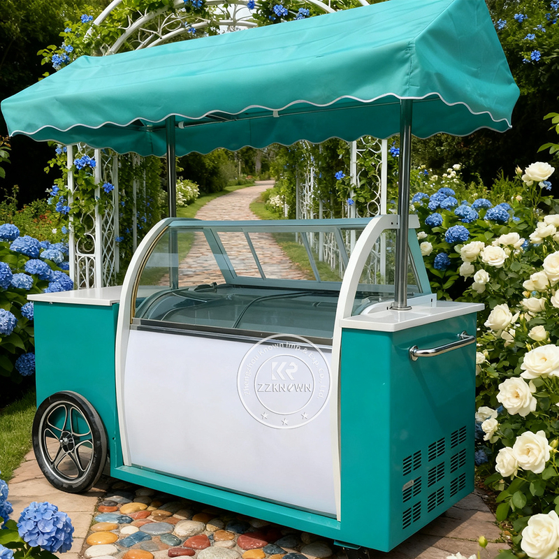 Premium Ice Cream Cart with Display Cabinet | Mobile Ice Cream Freezer Cart Manufacturer