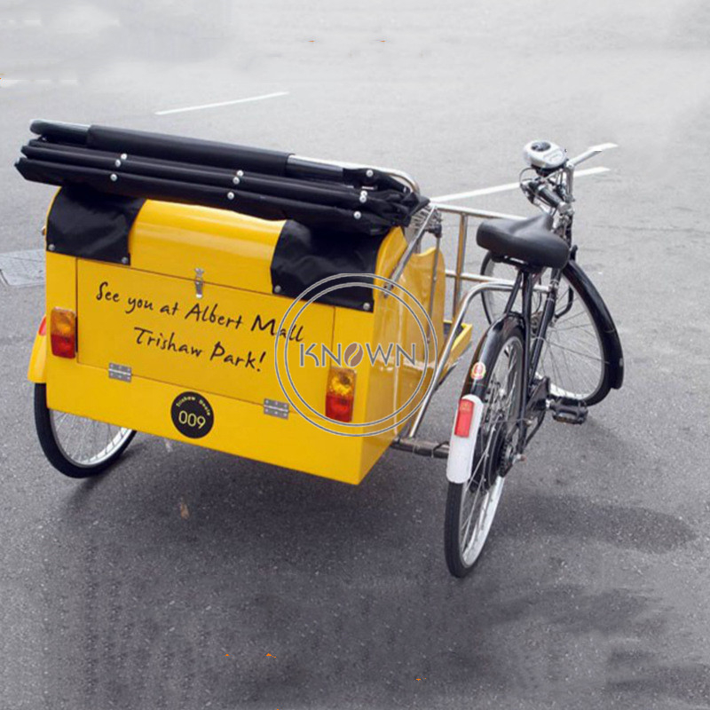 Southeast Asian Style Sighting Cart Pedal Tricycle Passenger Vehicle Customized Electric Cargo Bike