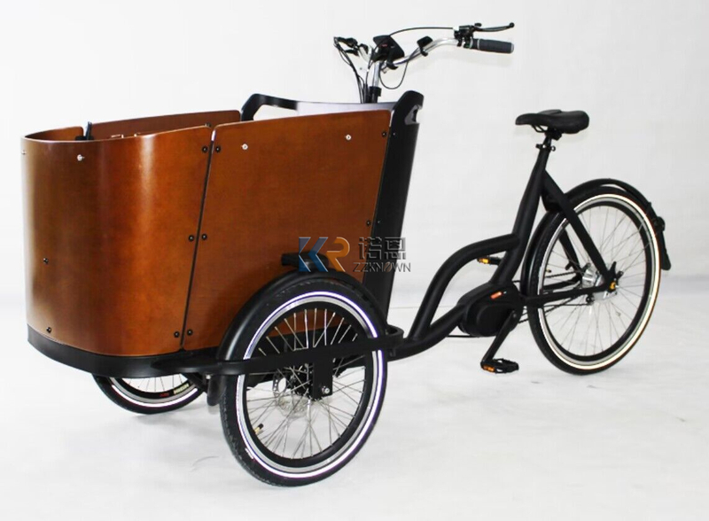 3 Wheel Electric Dutch Bike 250W Mid Motor Cargo Bike Family Use 3 Wheel Tricycle
