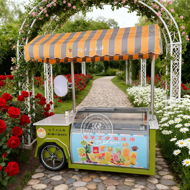 Premium Ice Cream Cart with Display Cabinet | Mobile Ice Cream Freezer Cart Manufacturer