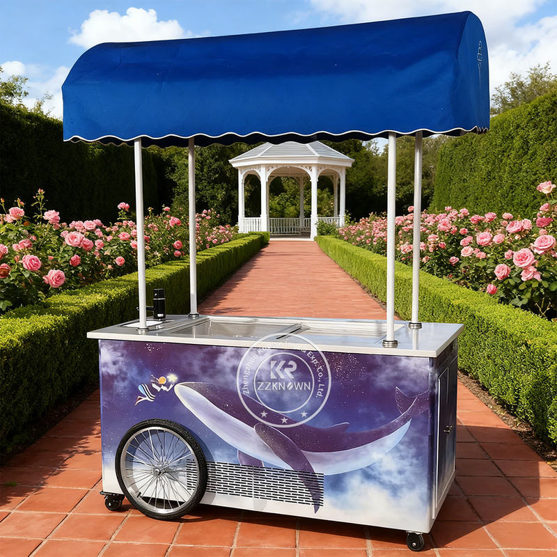 Vintage Design Retro Ice Cream Cart | Mobile Sales | Customizable for European Markets