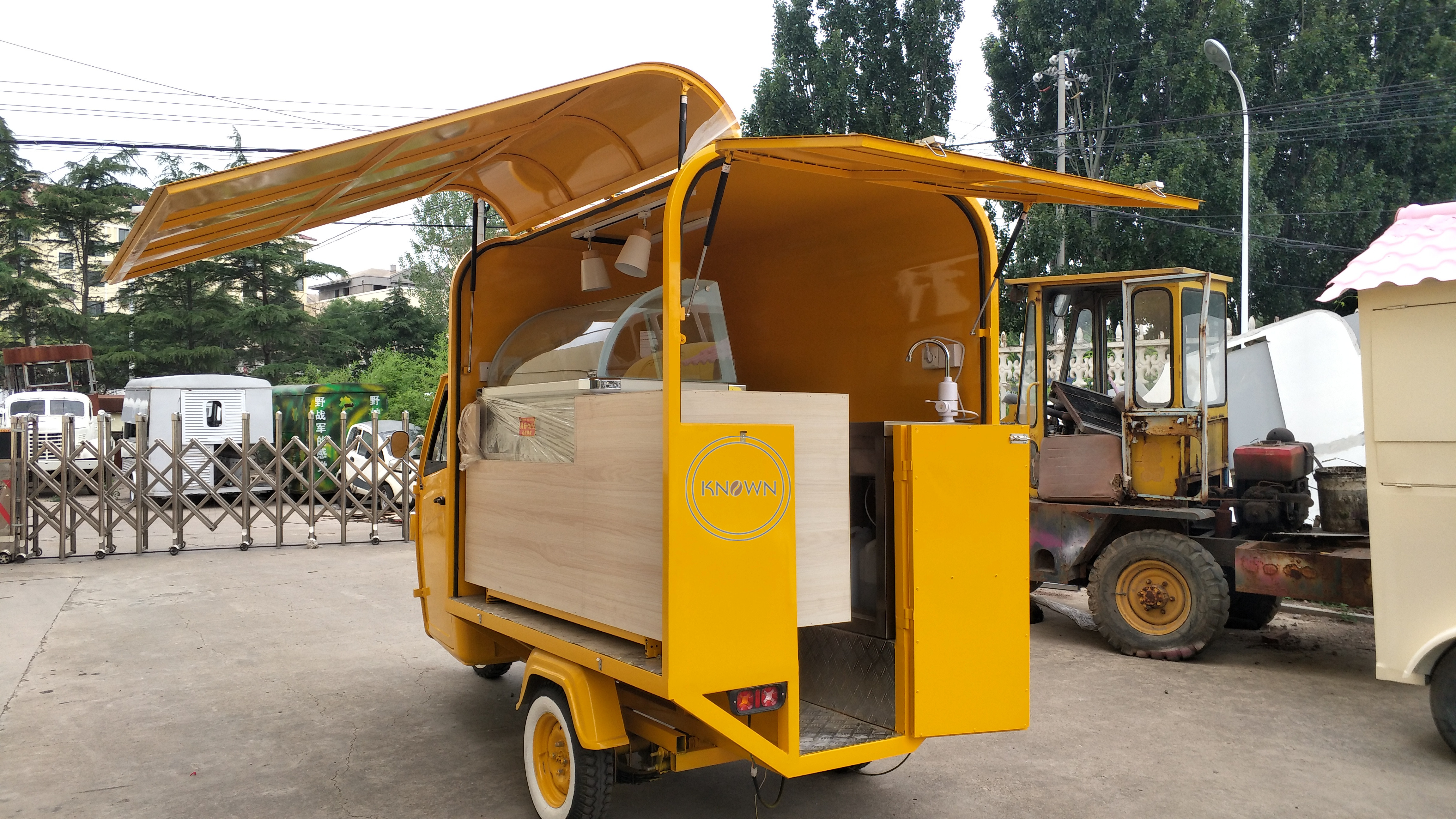 tricycle cart (7)