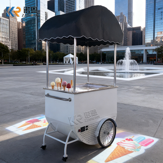 Street Vendor Cart for Sale | Custom Ice Cream Street Cart Manufacturer