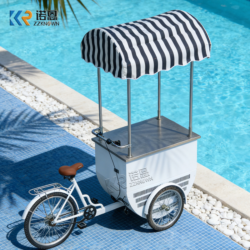 Mini Food Cart with Freezer | Mobile Ice Cream Bicycle Cart for Sale
