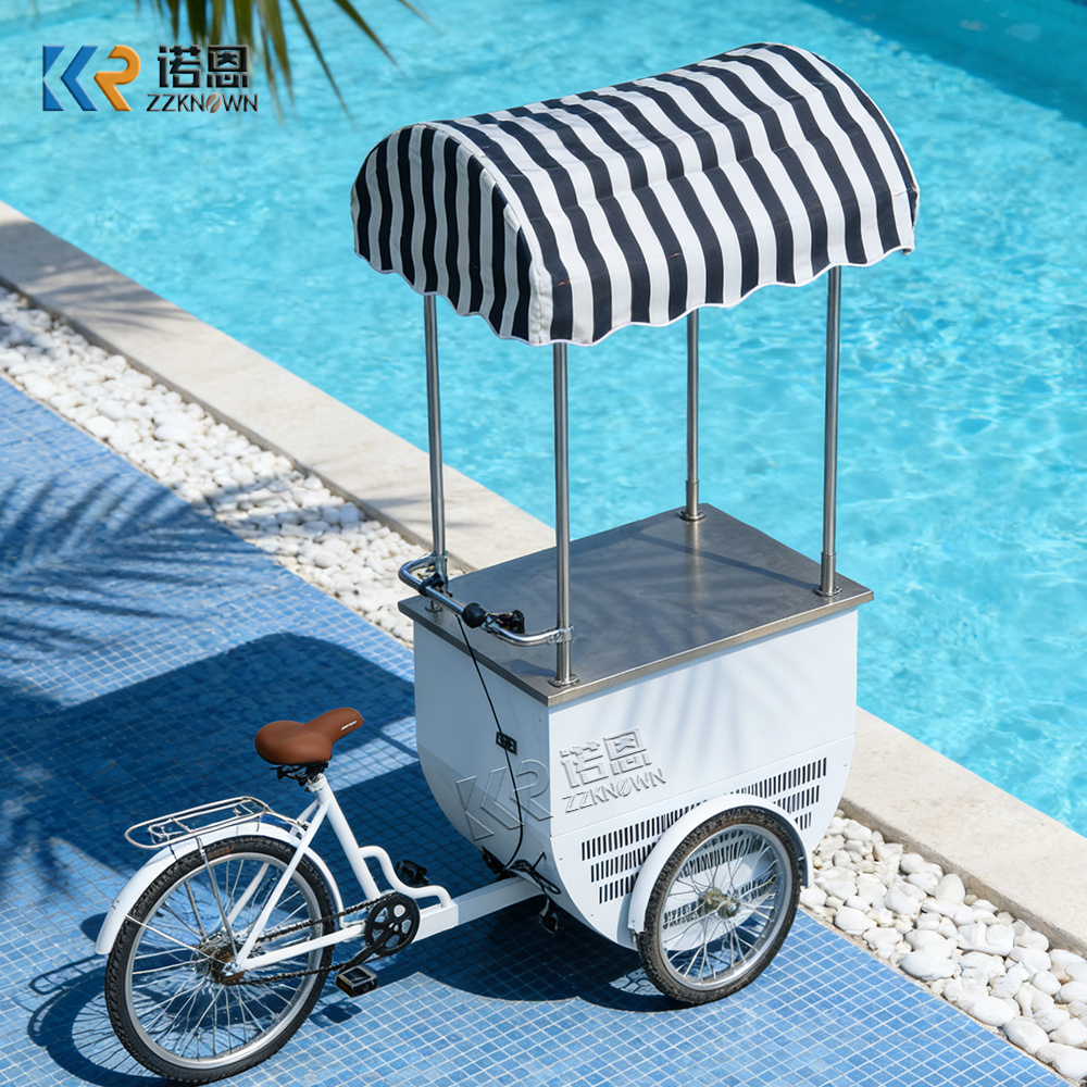 Mini Food Cart with Freezer | Mobile Ice Cream Bicycle Cart for Sale