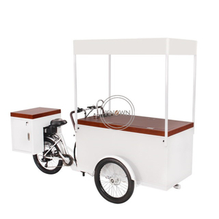 2020 New Mobile Electric Ice Cream Cargo Bike With High Capacity Freezer for Sell Cold Drinks Such As Cola Beer Adult Tricycle